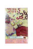 画像2: 新品カセットテープ▼ SADIY&KöZIY / ROMANCINGOO (2)