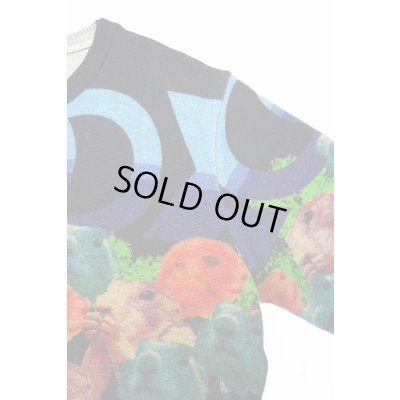 画像8: Sale30%off 【ZIG UR IDOL】 "MULTI-PRAIRIE" フルプリントニットトップス