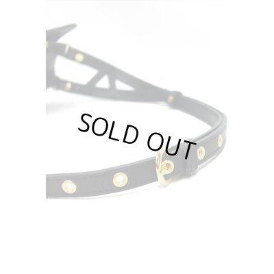 画像6: Sale64%off 【ZIG UR IDOL】 3-Dパンサーバッグ / ゴールドアイ