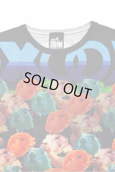 画像7: Sale30%off 【ZIG UR IDOL】 "MULTI-PRAIRIE" フルプリントニットトップス (7)