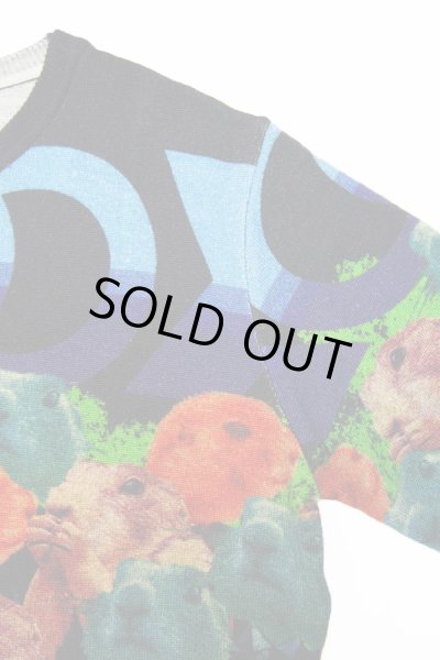 画像8: Sale30%off 【ZIG UR IDOL】 "MULTI-PRAIRIE" フルプリントニットトップス (8)